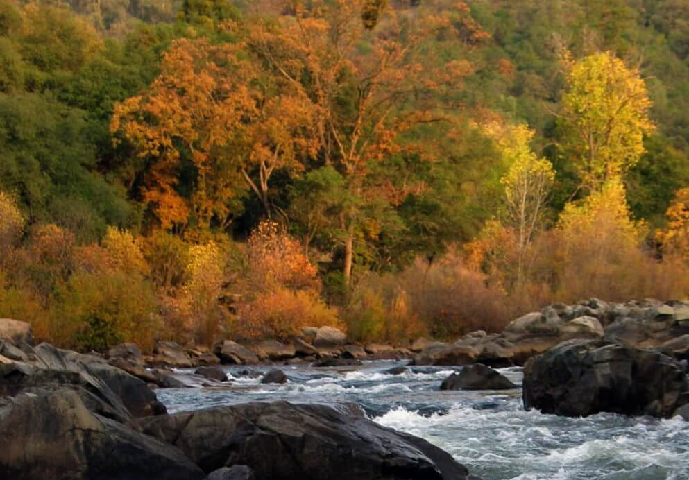 South Fork American River Fall colors
