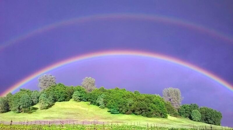 el dorado county rainbow