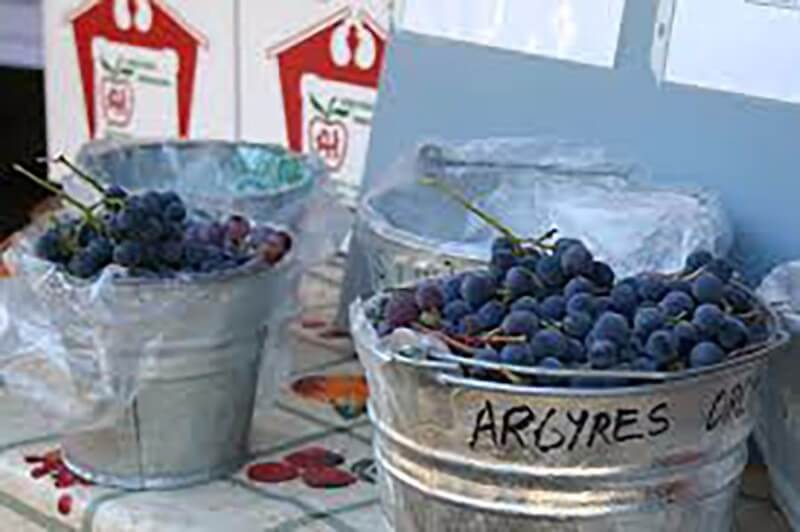 el dorado county buckets of grapes