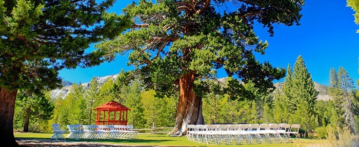 el dorado county outdoor wedding venue with tree