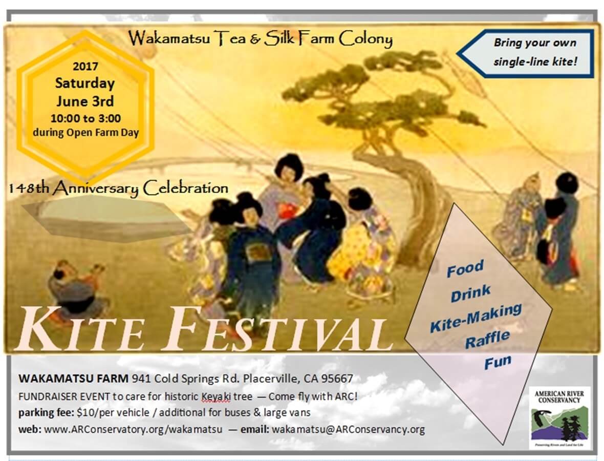 Wakamatsu Kite Fest 2017 graphic