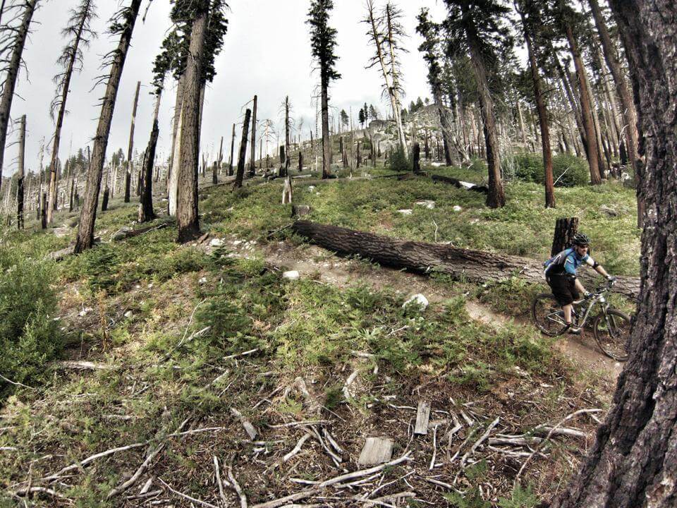 Man riding one of the mountain bike trails at Lake Tahoe