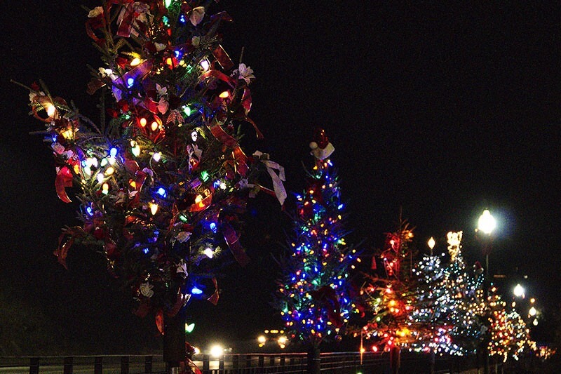 El Dorado County Festival of Lights Christmas Trees | Photo: Bill Robinson