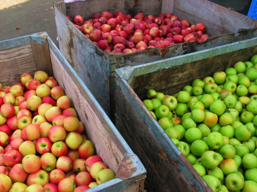 Apple Hill apples Photo: Jill Nauman