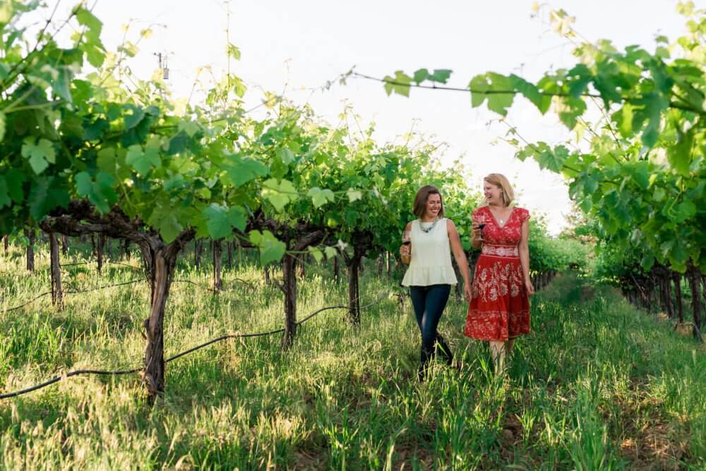 Women walking in vineyard. 
