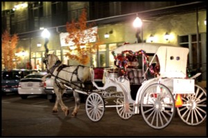 El Dorado Hills Christmas-Carriage-Rides
