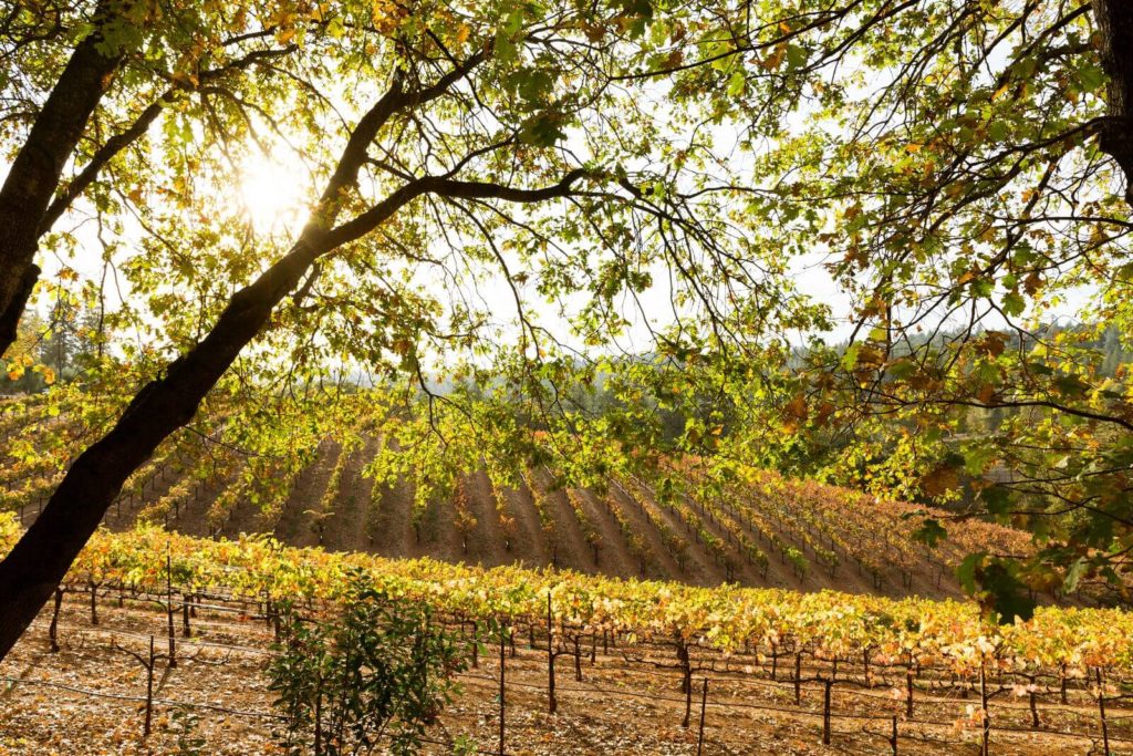 california-el-dorado-county-boeger-vineyard