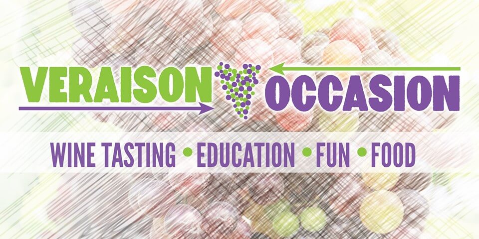 Veraison Occasion Wine Tasting Event Header | Carson Road Wineries, El Dorado County