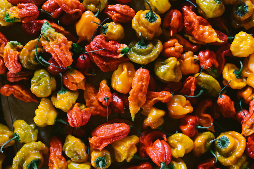A plethora of peppers at 24 Carrot Farms, El dorado County