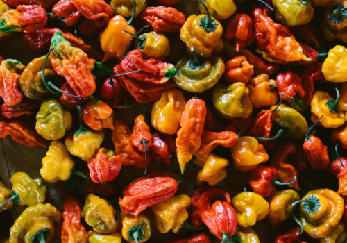 24 Carrot Farm peppers, El Dorado County