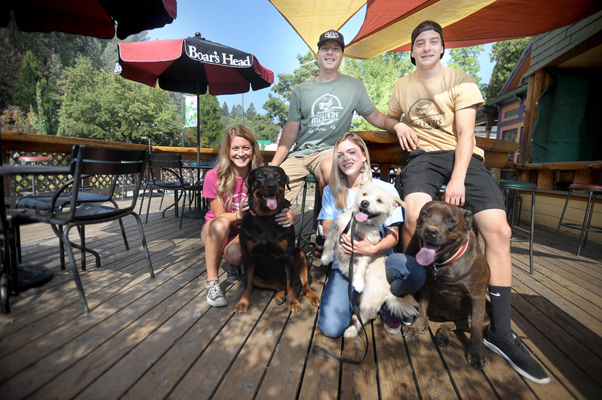 Main Street Melters, Placerville, El Dorado County - dog-friendly patio