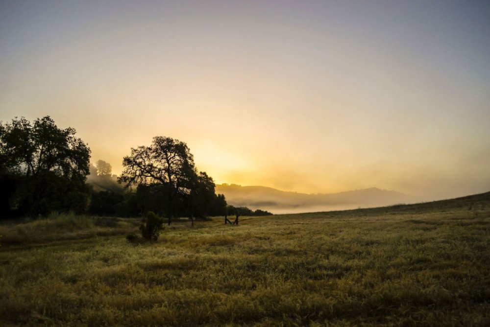 sunrise and mist over Cronan Ranch trails