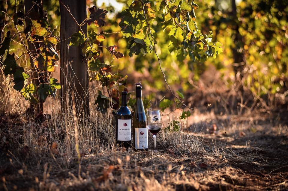 Madrona wine in field