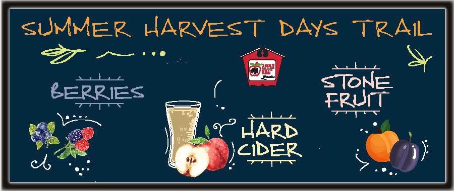 Summer Harvest Days graphic