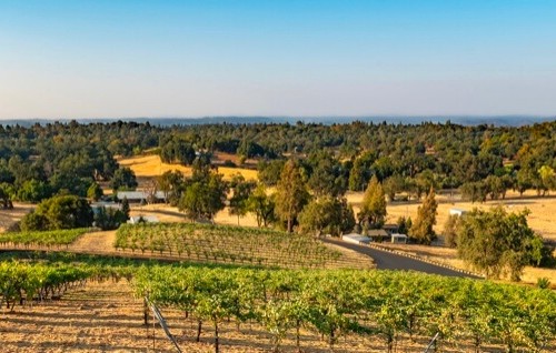 el dorado county winery