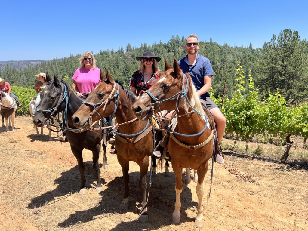 From the Saddle to the Glass: Saluti Horse Adventures