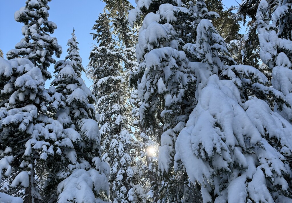 Winter Adventure in El Dorado County: Ski, Sip, and Stay