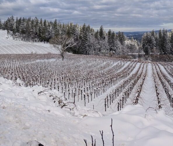 A Winter Wine Adventure in El Dorado County