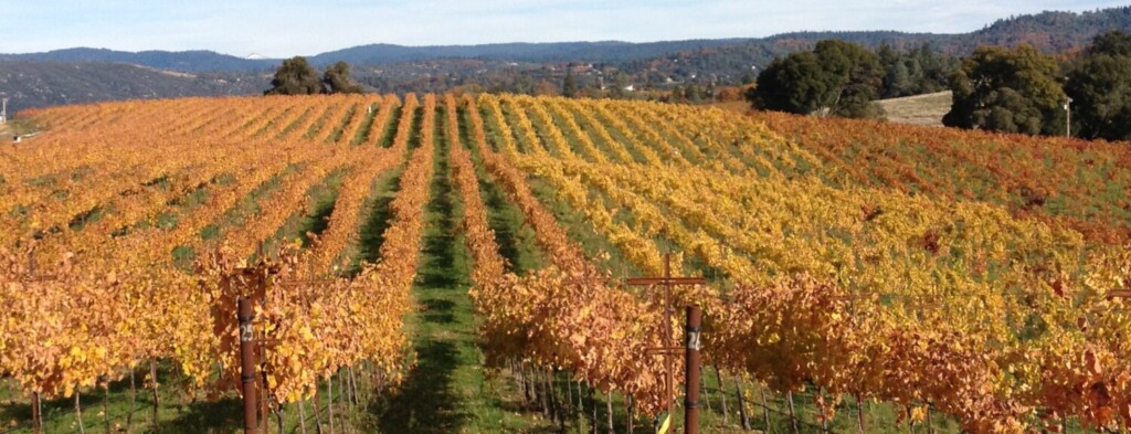 A Guide to the Fair Play Wineries in El Dorado County