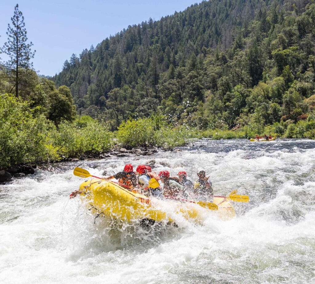 Thrilling Rapids, Unforgettable Views – Whitewater Rafting on the American River