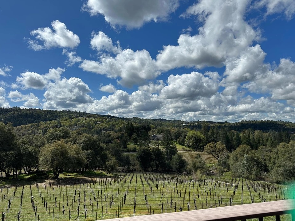 Savor Bold Wines and Spectacular Views at the Fair Play Wineries